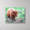 Search for scottish wildlife art Cow