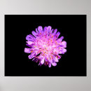Search for isolate art Background