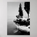 Recherche de roche noire photographie Arbre