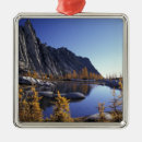 Search for washington state ornaments Mountain