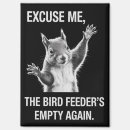 Search for quirky magnets Humour