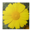 Recherche de marais carreaux Nature