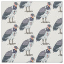 Search for vulture Bird