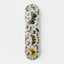Search for butterfly skateboards Moth