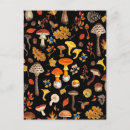Search for wild mushrooms postcards Woodland