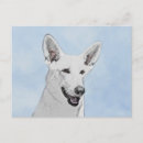 Search for white german shepherd postcards Cute