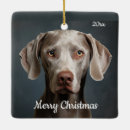 Recherche de weimaraner ornaments Aquarelle
