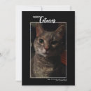 Search for cat family christmas cards Cute