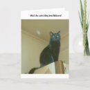 Search for kitty halloween cards Animals