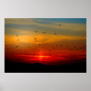 Recherche de flying bird posters Landscape