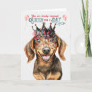 Search for funny dachshund birthday cards Dogs