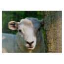 Recherche de agneaux planches à découper Pour tous