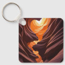 Search for antelope keychains Nature