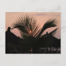 Recherche de puerto vallarta cartes postales Coucher de soleil