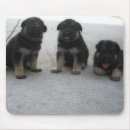 Recherche de velu tapis souris Noir