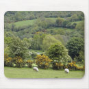 Search for pasture mousepads Countryside
