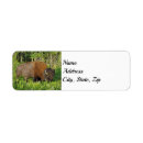 Search for yellowstone return address labels Animals