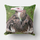 Recherche de vautours coussins Oiseau de proie