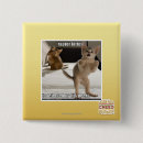 Search for raptor buttons I can has cheezburger