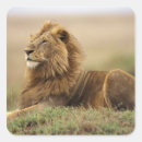 Search for masai stickers Africa