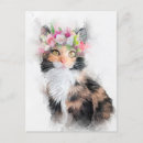 Recherche de mainecoon Animal