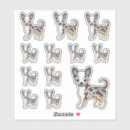 Recherche de smooth autocollants Dog