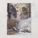 Recherche de hiboux cartes postales Oiseaux
