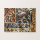 Recherche de reine abeilles puzzles Pour tous