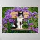Search for tuxedo cat posters Cute