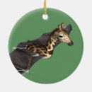 Search for bat ornaments Fantasy
