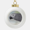 Search for parrot ornaments African grey parrot