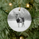 Search for black horse ornaments Snow