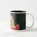 Search for red eyed tree frog mugs Nature