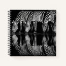 Search for conservation notebooks Africa