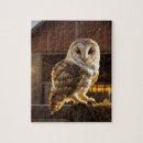 Search for barn owl puzzles Farm