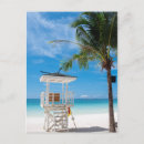Recherche de plage blanche cartes postales Coquillage