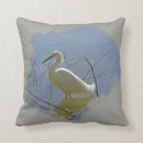 Recherche de habitat coussins Photographie de la nature