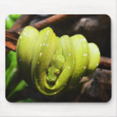 Recherche de vert tapis souris Famille