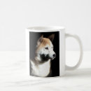 Recherche de doges tasses Shiba