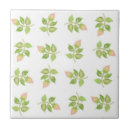 Recherche de bourgeon carreaux Rose
