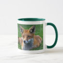 Recherche de renard rouge tasses Animaux