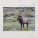 Recherche de alpin cartes postales Montagnes rocheuses