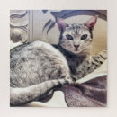 Recherche de beautiful puzzles Pour tous