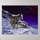 Search for grey wolves posters Wild animals