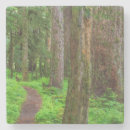 Search for lush green barware Fern