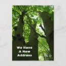 Search for big tree invitations Forest