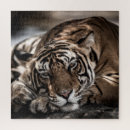 Search for tiger face puzzles Black
