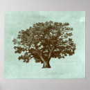 Search for spa posters Botanical