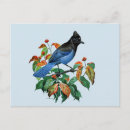 Recherche de bocal cartes postales Vintage