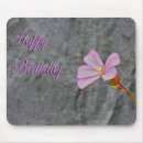 Search for crimson electronics Birthday